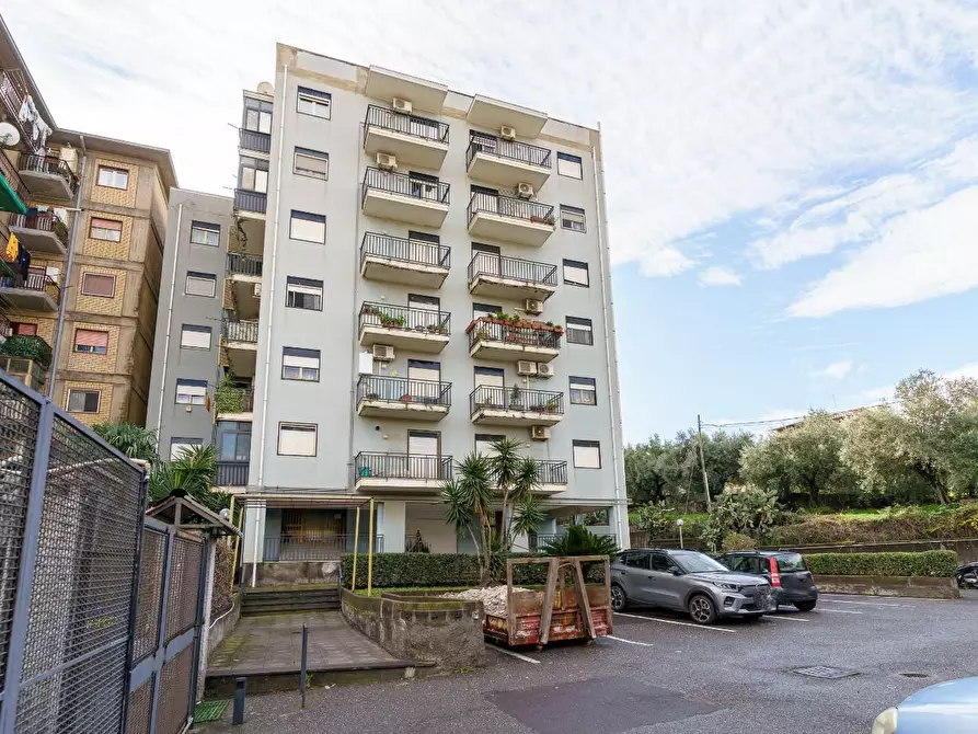 Immagine 2 di Appartamento in vendita  a Catania