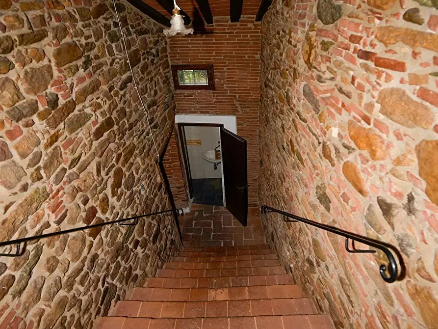 Immagine 14 di Porzione di casa in vendita  a Vicopisano