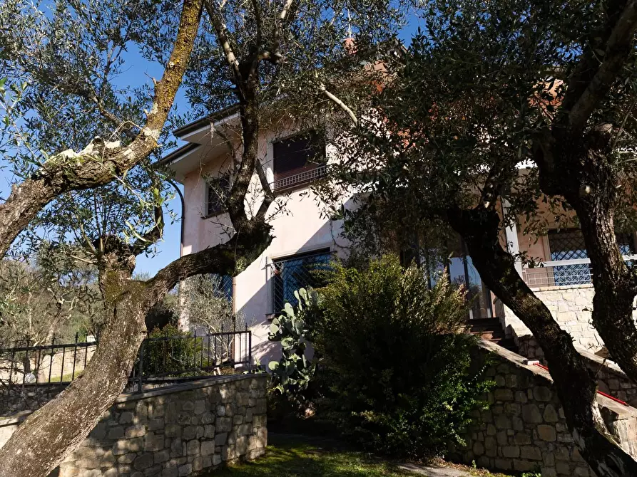 Immagine 25 di Casa indipendente in vendita  a Carrara