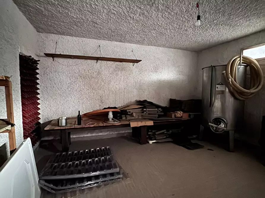 Immagine 37 di Appartamento in vendita  a Massa