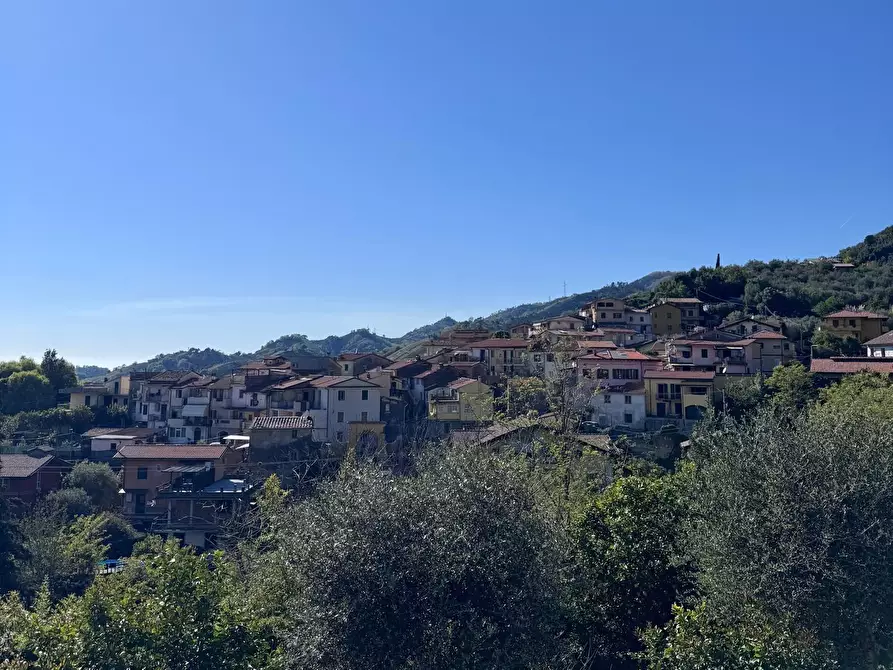 Immagine 39 di Appartamento in vendita  a Massa