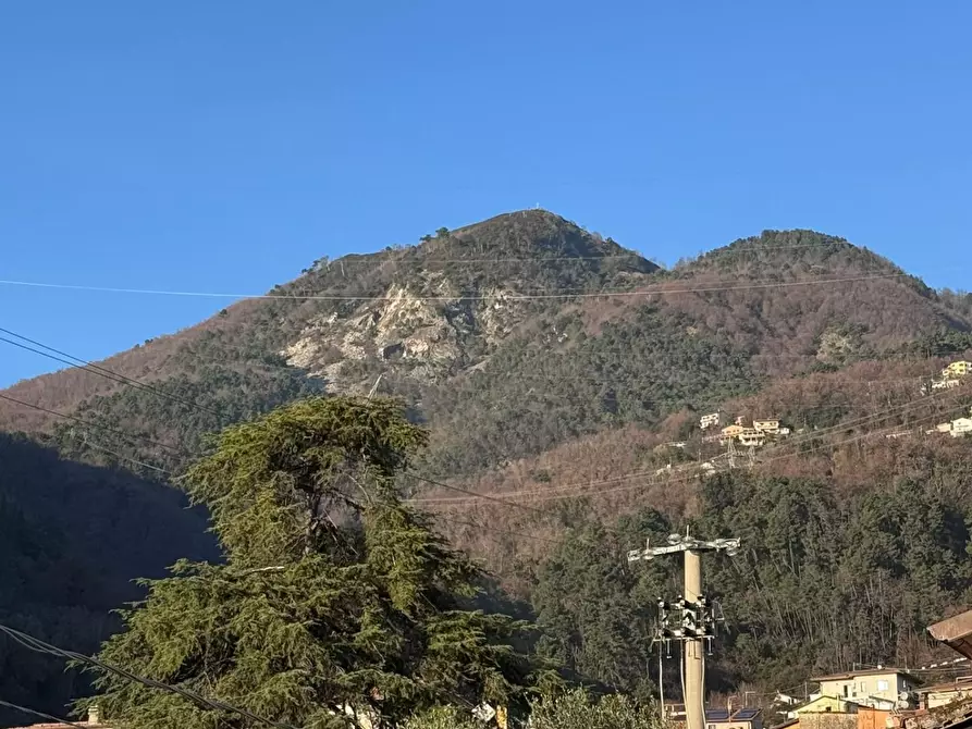 Immagine 28 di Appartamento in vendita  a Massa