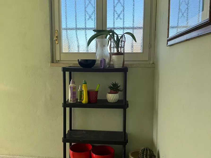 Immagine 24 di Appartamento in vendita  a Montignoso