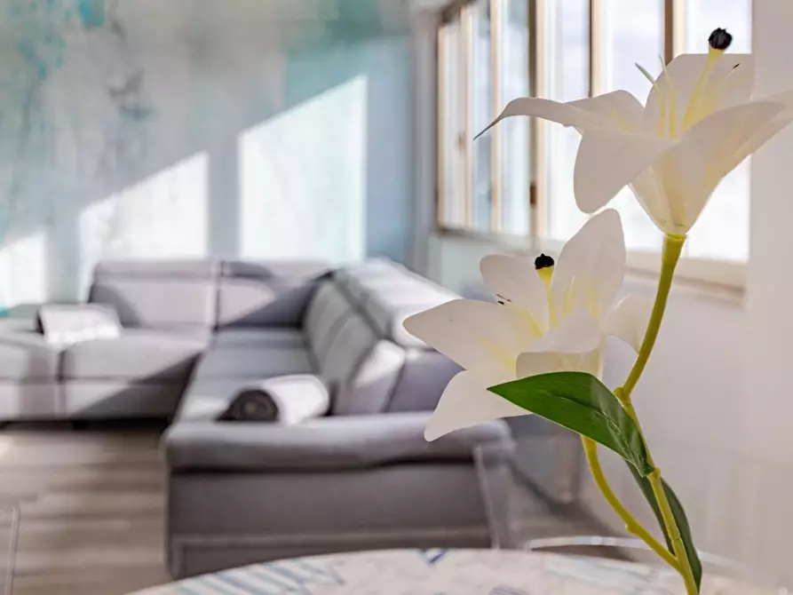 Immagine 10 di Appartamento in affitto  a San Vincenzo