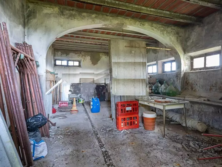 Immagine 4 di Rustico / casale in vendita  a Peccioli