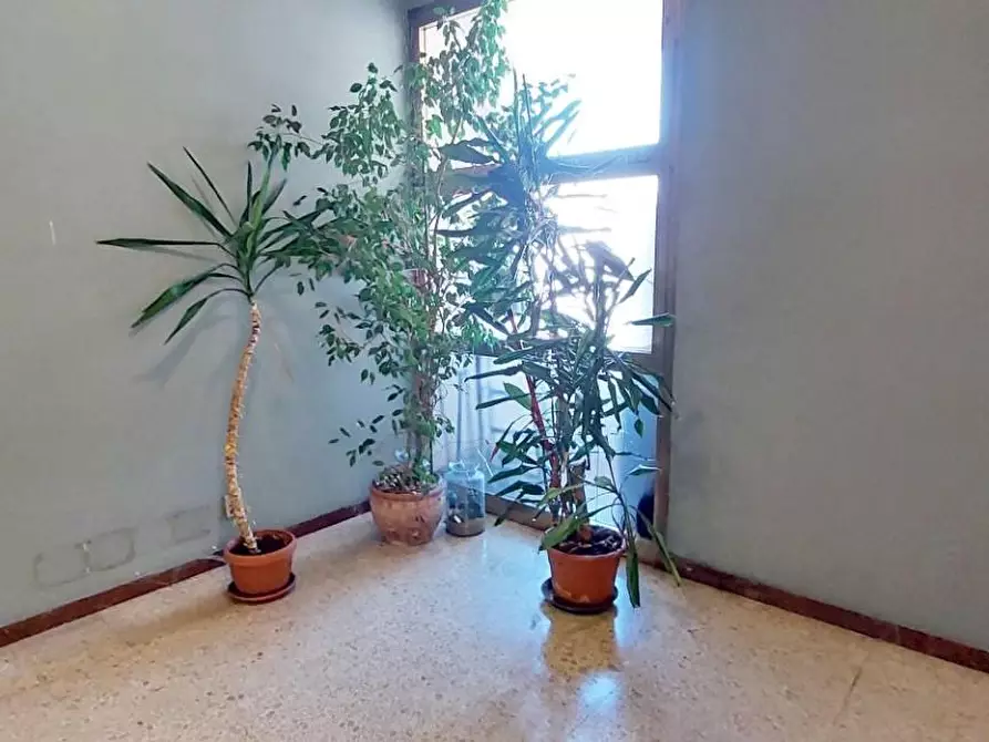 Immagine 6 di Ufficio in affitto  a Viareggio