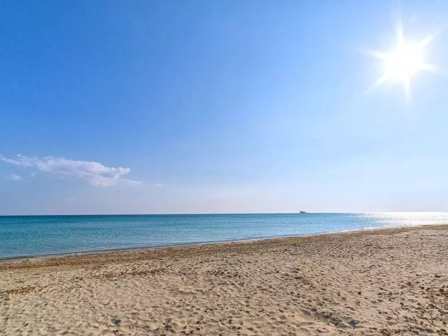 Immagine 11 di Appartamento in vendita  a Sarzana