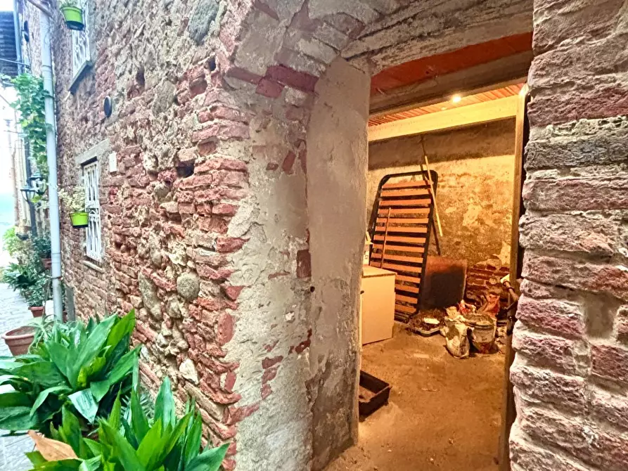 Immagine 19 di Terratetto in vendita  a Terricciola