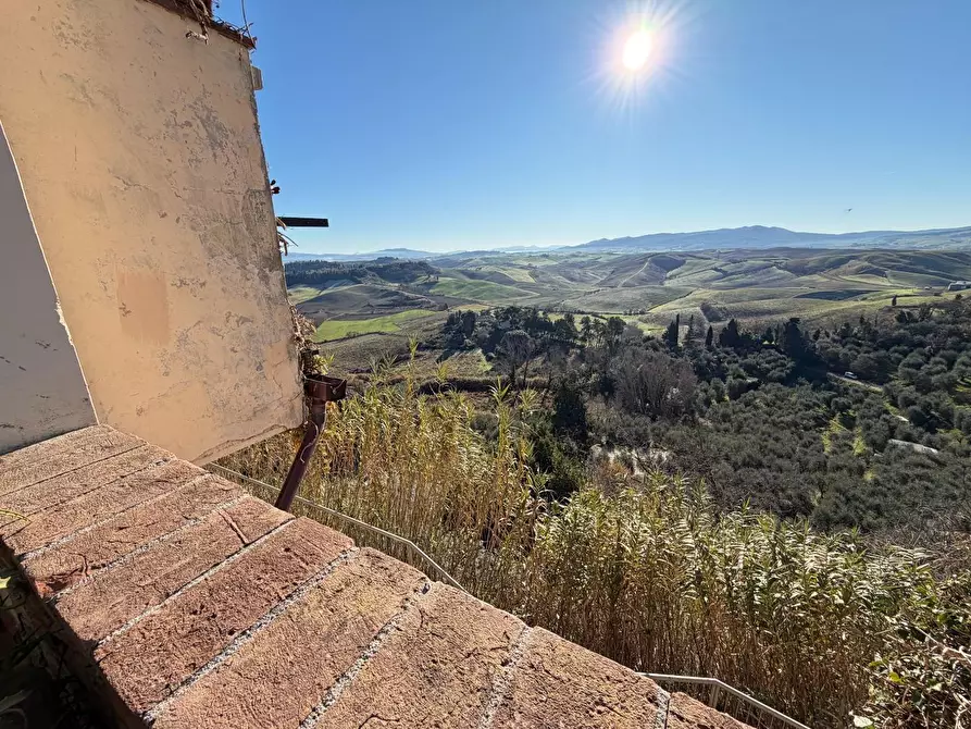 Immagine 1 di Terratetto in vendita  a Terricciola