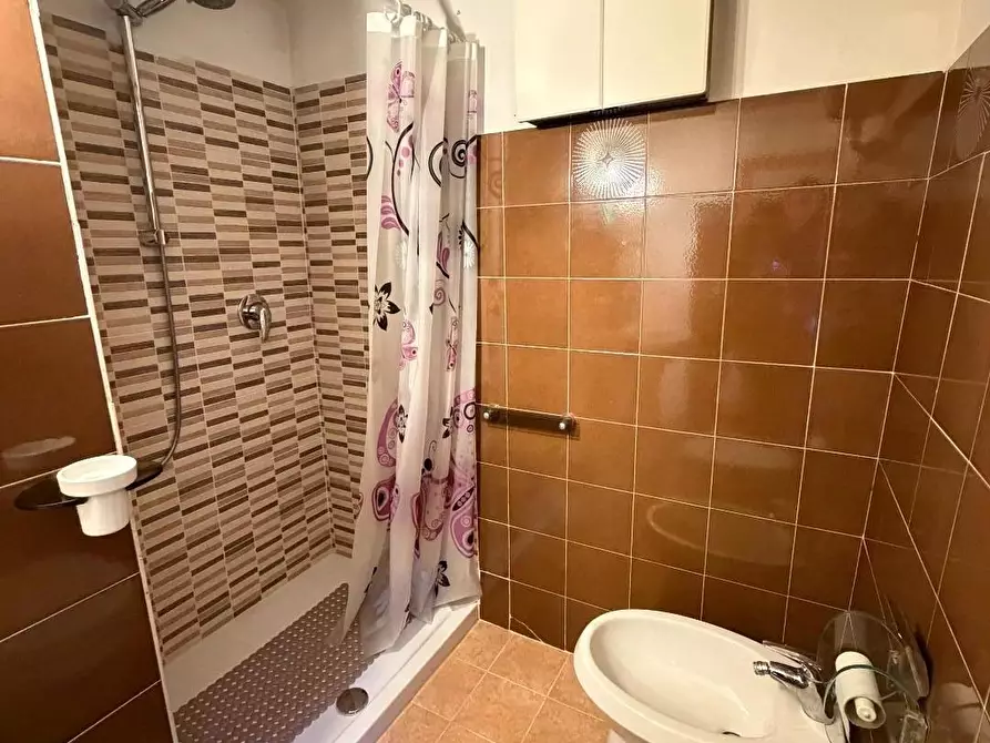 Immagine 15 di Terratetto in vendita  a Terricciola