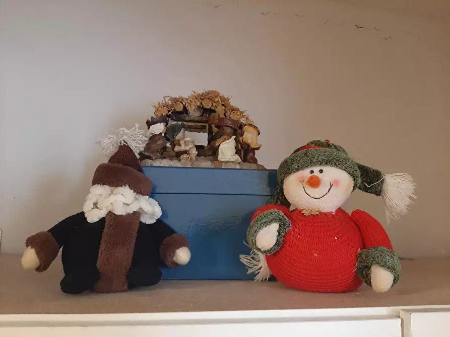 Immagine 2 di Appartamento in vendita  a Peccioli