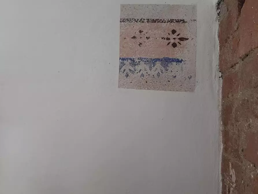 Immagine 5 di Appartamento in vendita  a Peccioli