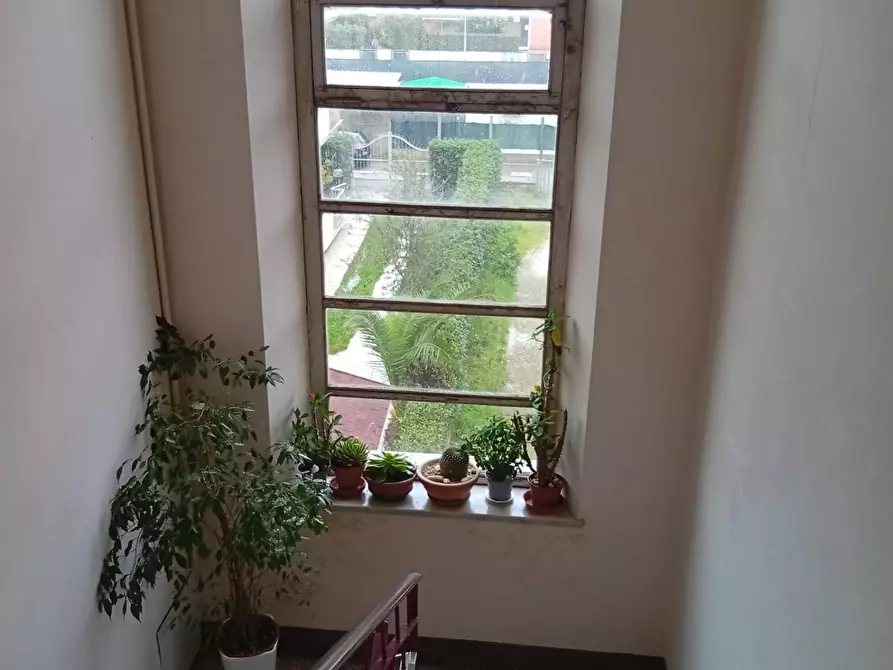 Immagine 11 di Appartamento in vendita  a Pisa