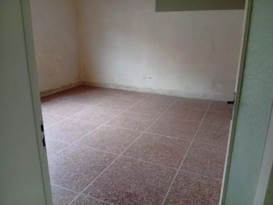 Immagine 5 di Appartamento in vendita  a Pisa