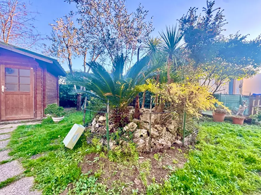 Immagine 9 di Casa bifamiliare in vendita  a Massa