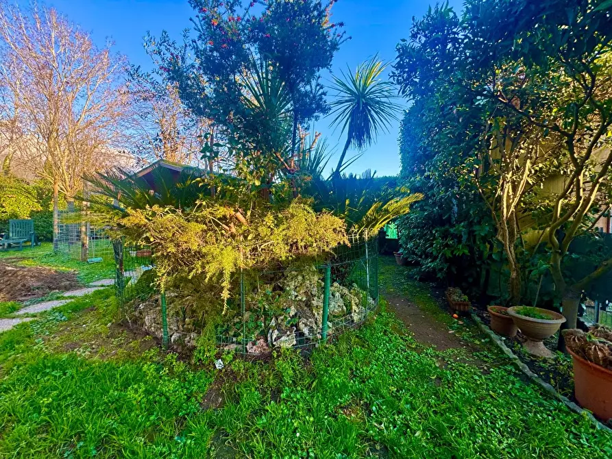 Immagine 6 di Casa bifamiliare in vendita  a Massa