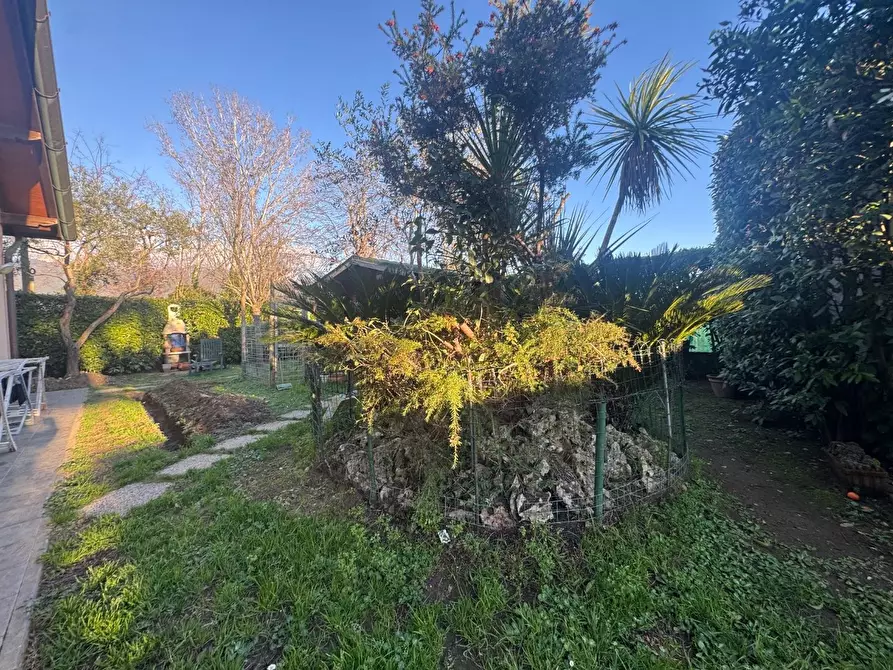 Immagine 4 di Casa bifamiliare in vendita  a Massa