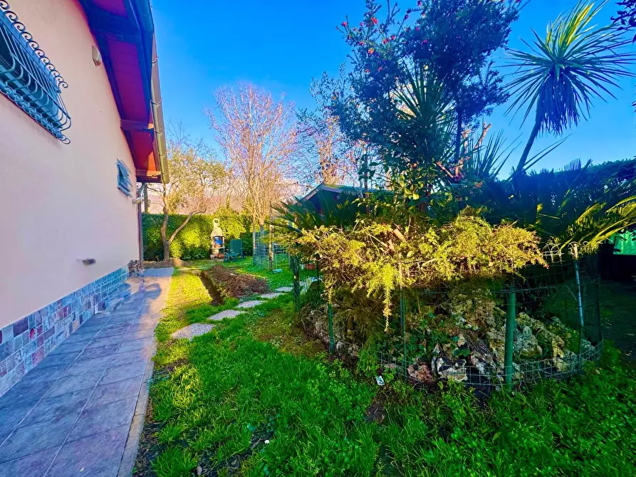 Immagine 7 di Casa bifamiliare in vendita  a Massa