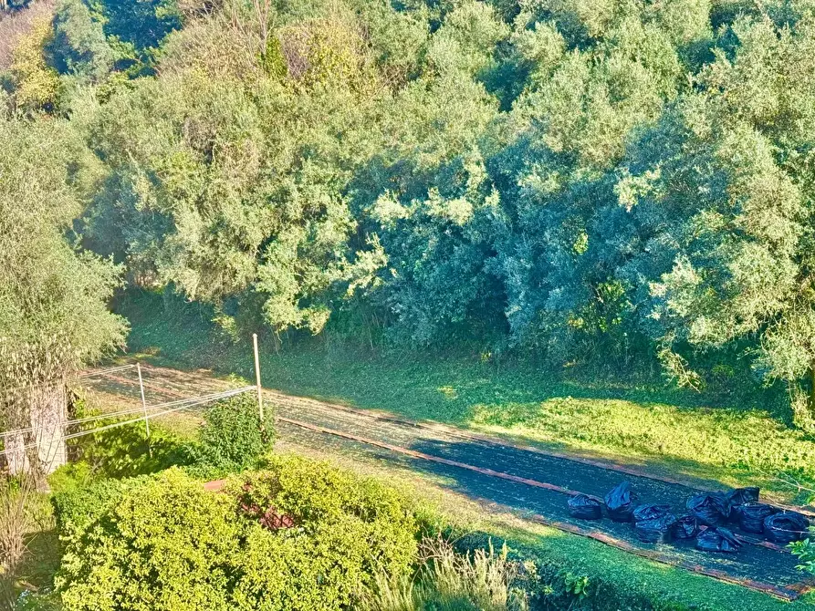 Immagine 35 di Appartamento in vendita  a Massa
