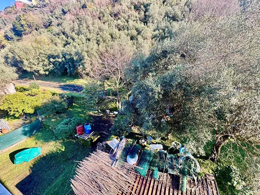 Immagine 31 di Appartamento in vendita  a Massa