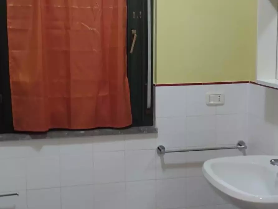 Immagine 7 di Appartamento in affitto  a Grosseto