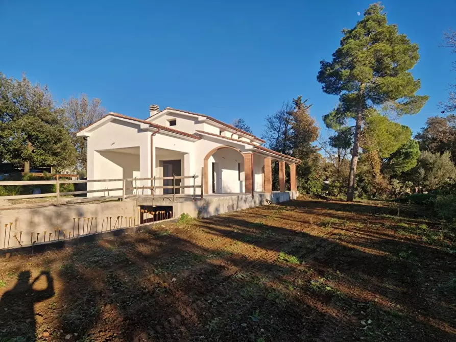 Immagine 1 di Villa in vendita  a Cecina