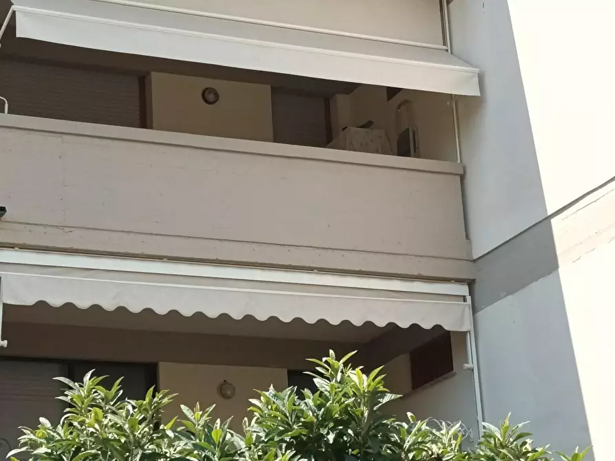 Immagine 3 di Appartamento in vendita  a Rosignano Marittimo