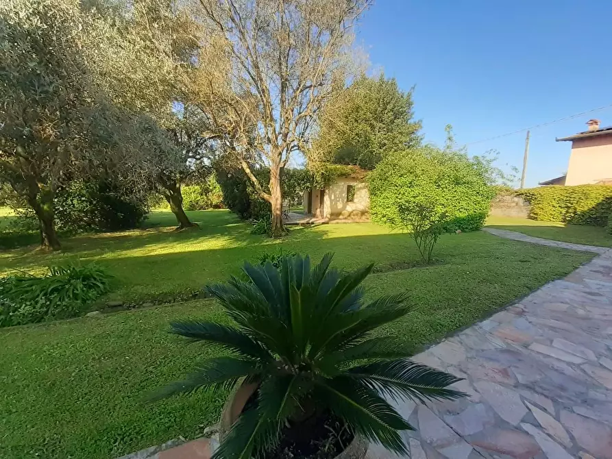 Immagine 21 di Casa colonica in vendita  a Pietrasanta