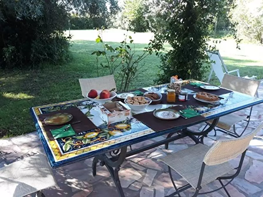 Immagine 22 di Casa colonica in vendita  a Pietrasanta