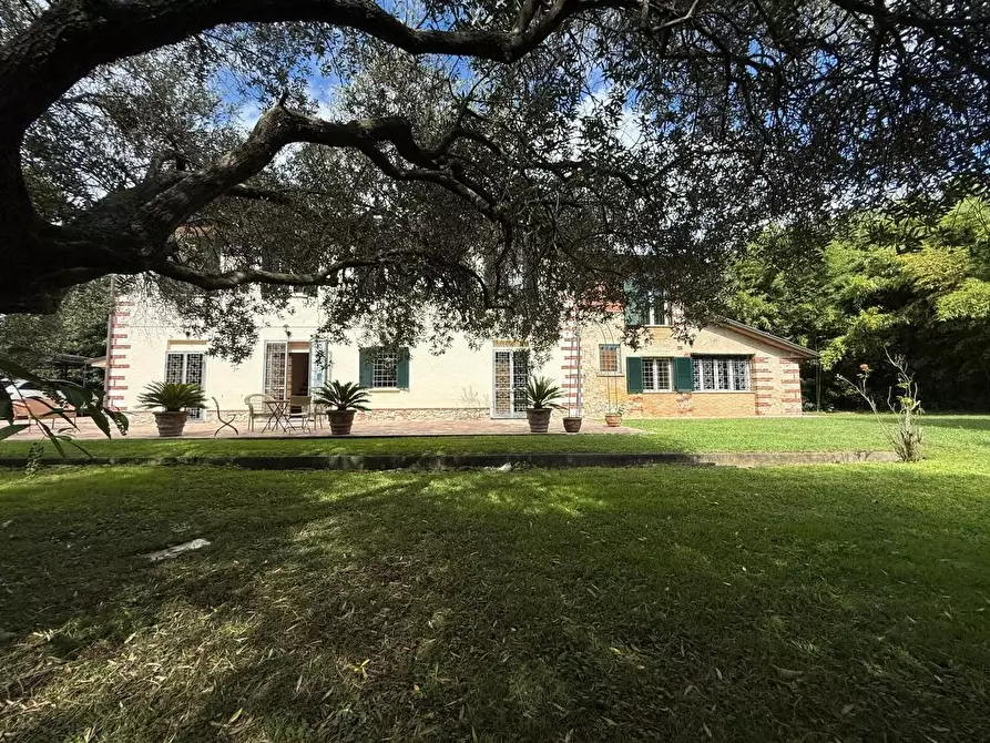 Immagine 4 di Casa colonica in vendita  a Pietrasanta