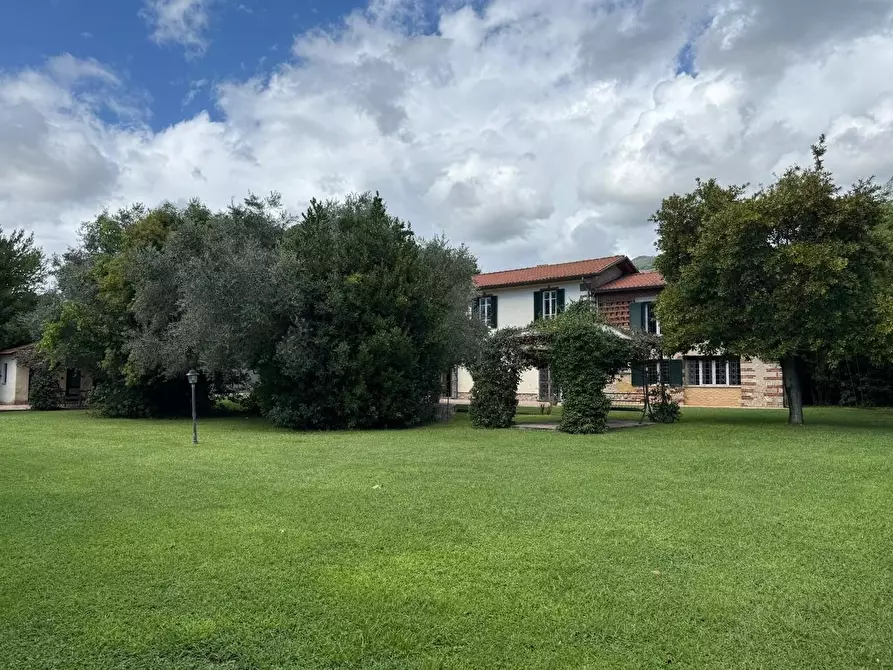 Immagine 3 di Casa colonica in vendita  a Pietrasanta