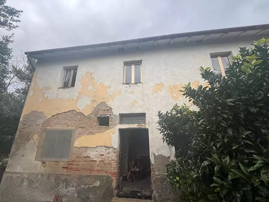 Immagine 11 di Porzione di casa in vendita  a Palaia