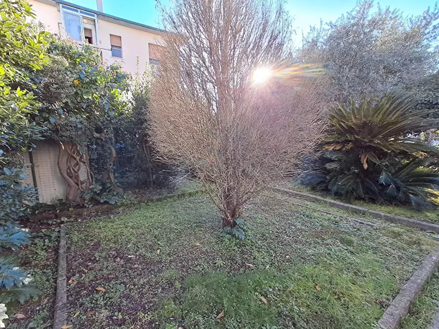 Immagine 3 di Villa in vendita  a San Giuliano Terme