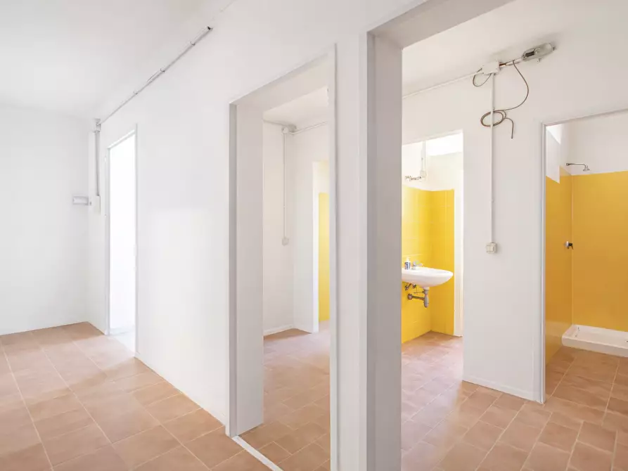 Immagine 12 di Attività artigianale in vendita  a Casciana Terme Lari