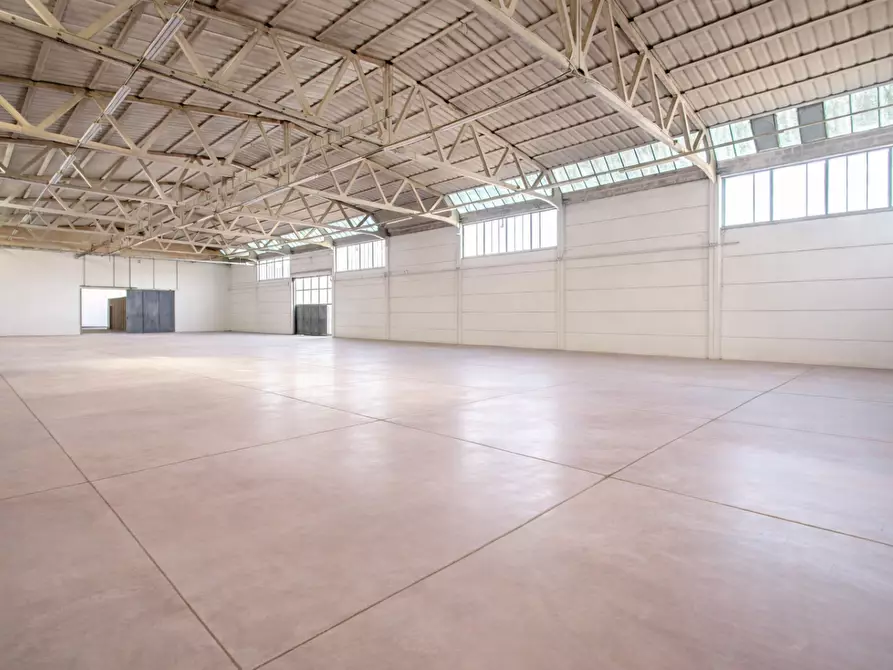 Immagine 5 di Attività artigianale in vendita  a Casciana Terme Lari