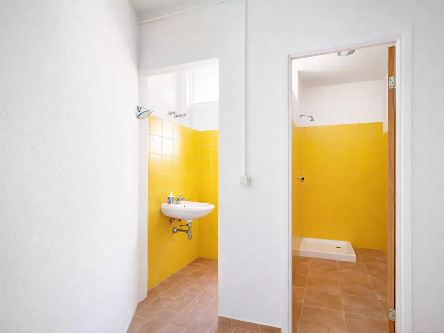 Immagine 13 di Attività artigianale in vendita  a Casciana Terme Lari