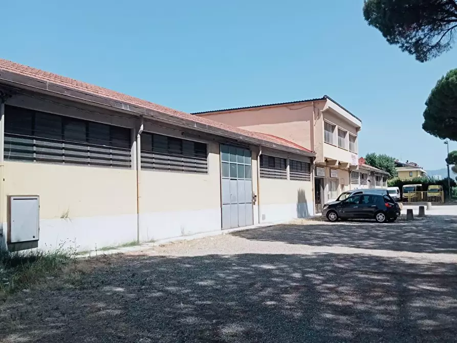 Immagine 1 di Attività artigianale in vendita  a Vinci