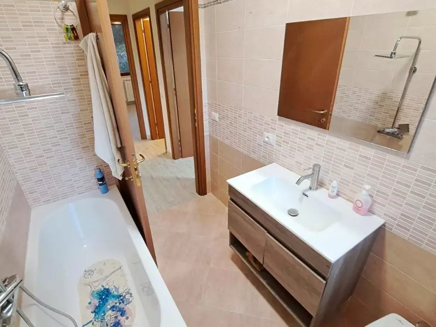 Immagine 10 di Appartamento in vendita  a Rosignano Marittimo