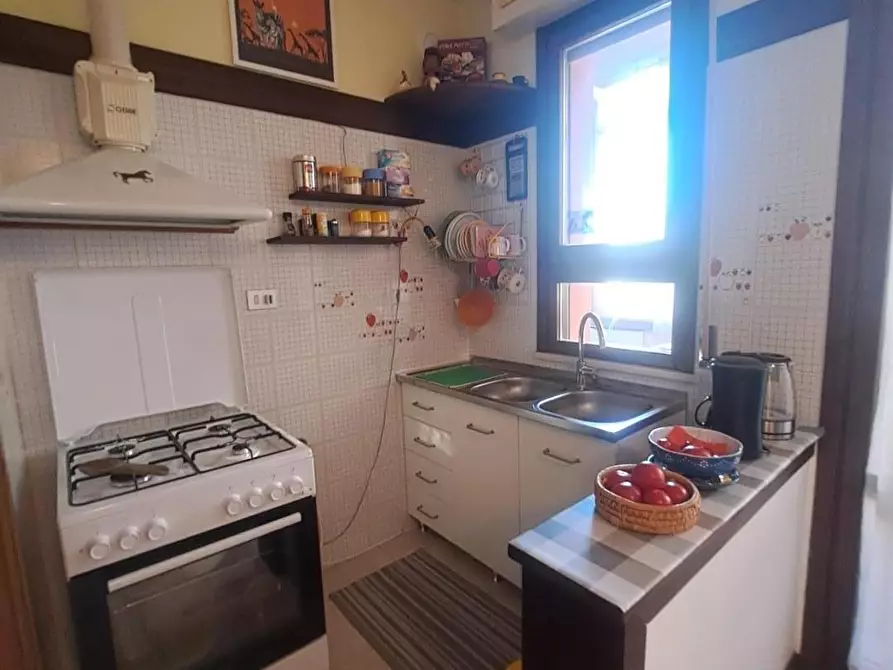 Immagine 19 di Appartamento in vendita  a Livorno