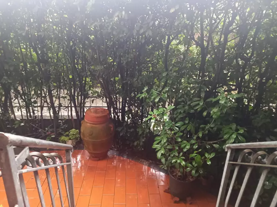 Immagine 19 di Appartamento in vendita  a Massa