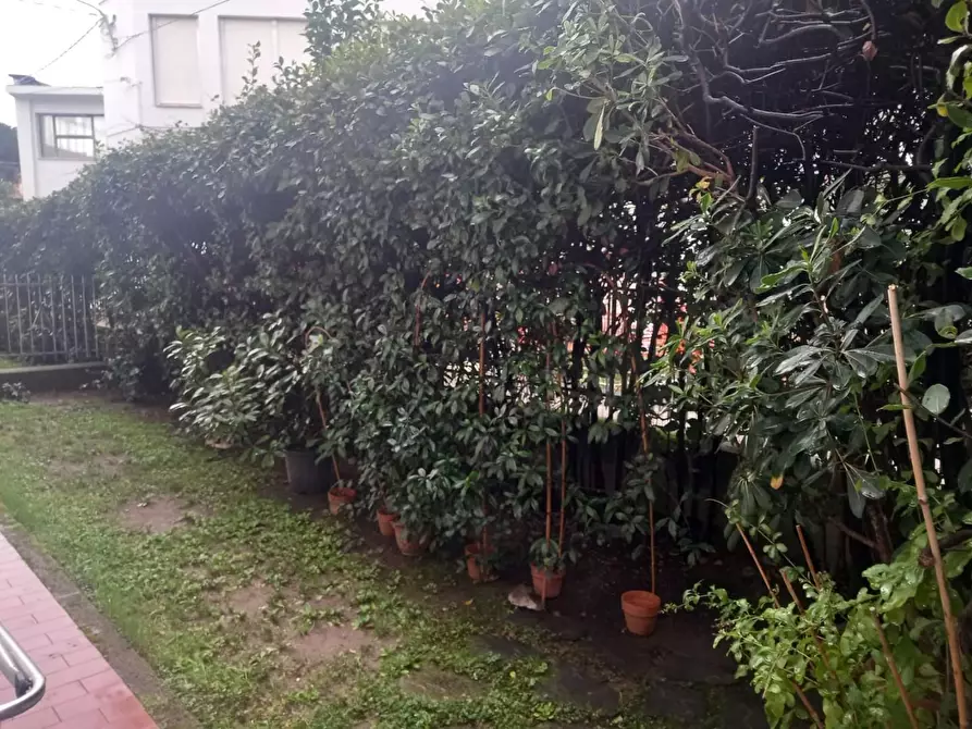 Immagine 1 di Appartamento in vendita  a Massa