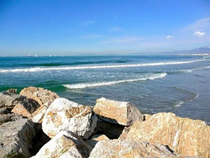 Immagine 6 di Appartamento in vendita  a Viareggio