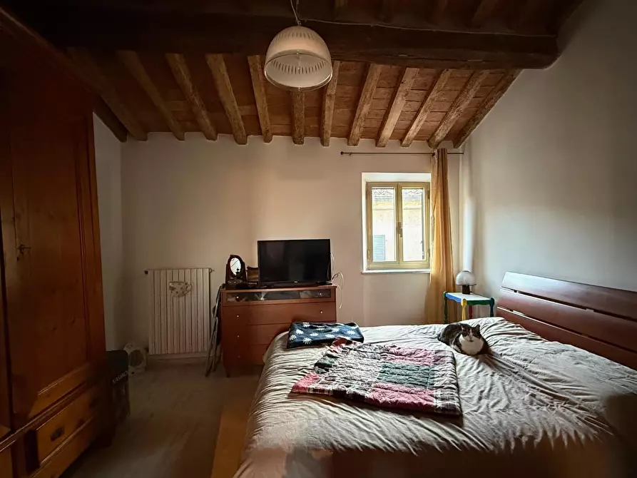 Immagine 10 di Appartamento in vendita  a Casciana Terme Lari