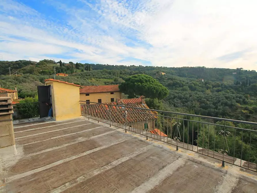 Immagine 22 di Casa colonica in vendita  a Vinci