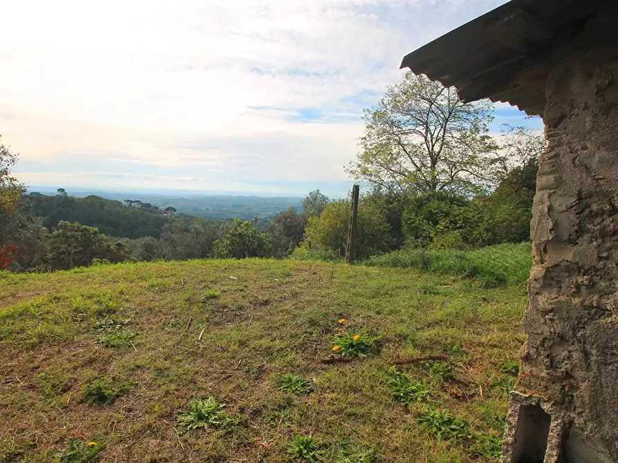 Immagine 24 di Casa colonica in vendita  a Vinci