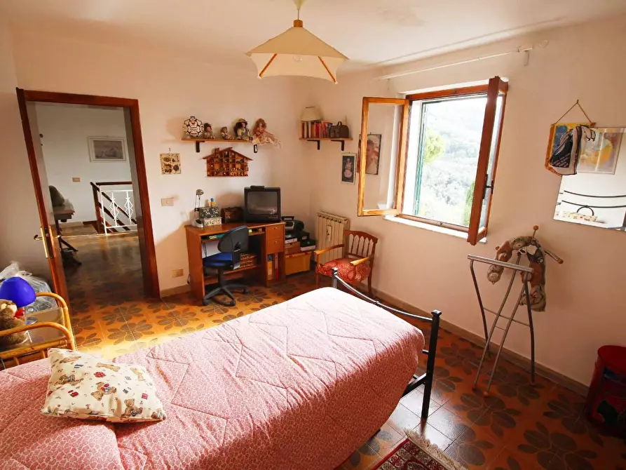 Immagine 6 di Casa colonica in vendita  a Vinci