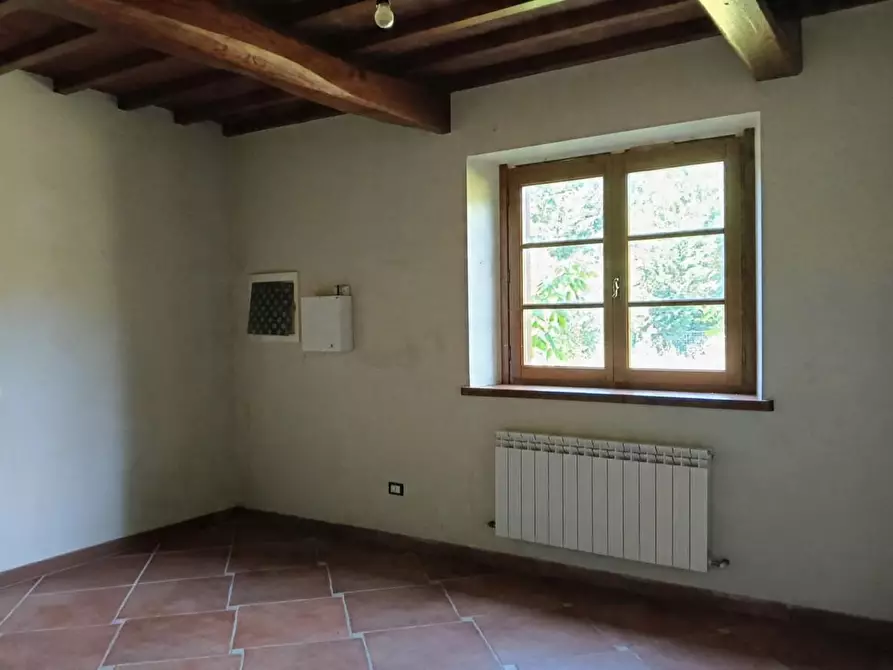 Immagine 11 di Casa colonica in vendita  a Camaiore