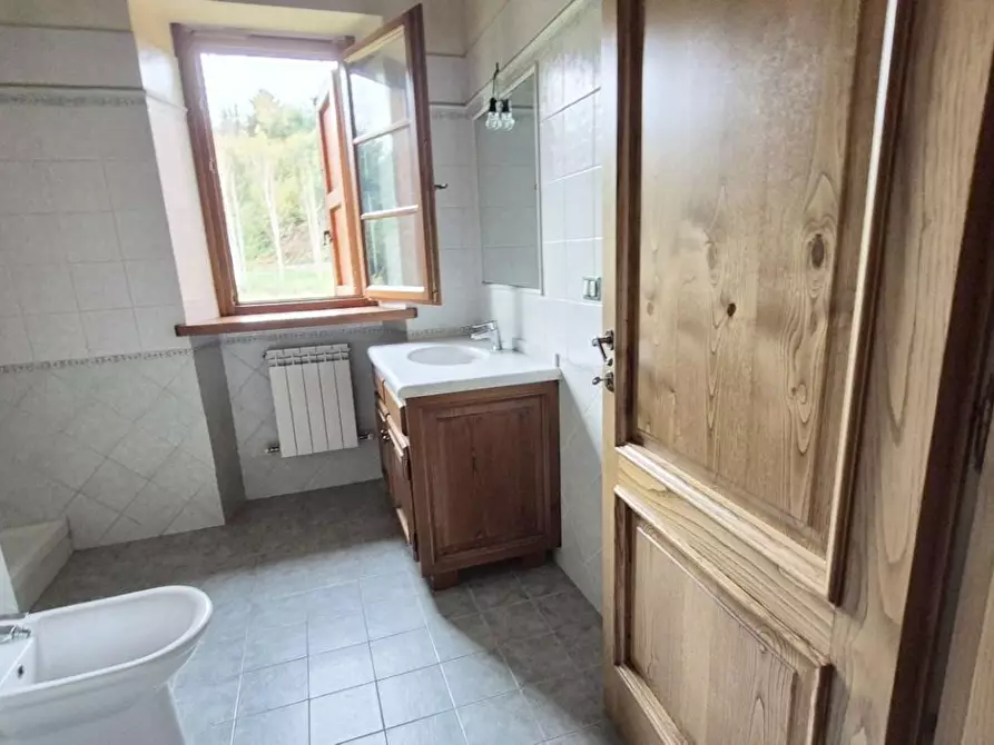 Immagine 15 di Casa colonica in vendita  a Camaiore