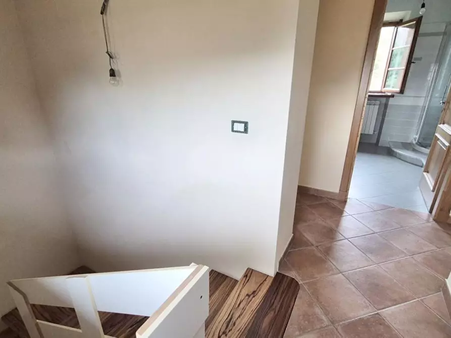 Immagine 26 di Casa colonica in vendita  a Camaiore