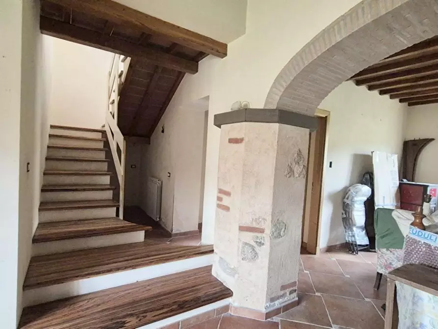Immagine 3 di Casa colonica in vendita  a Camaiore